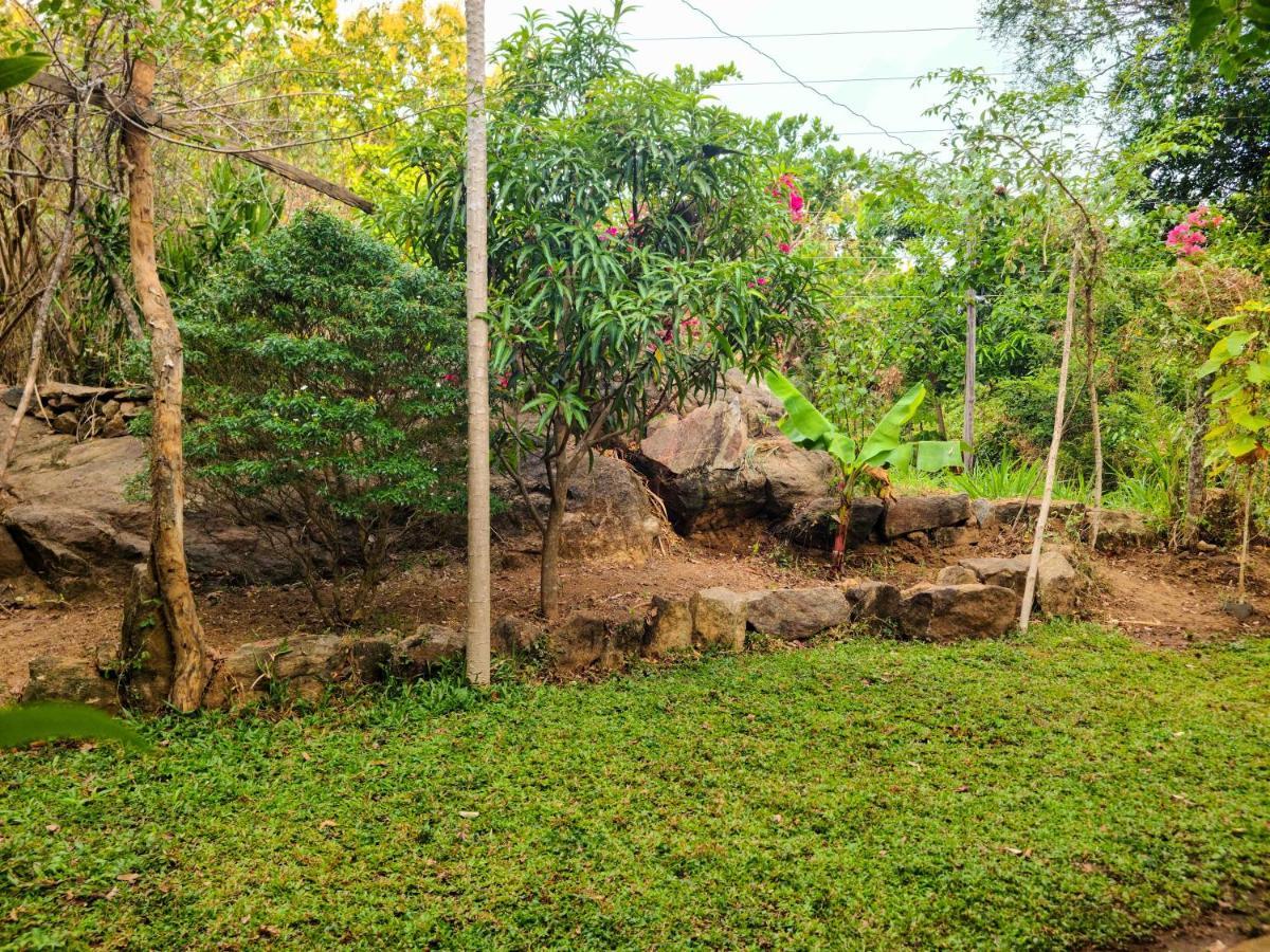Woodholic Homestay Sigiriya Luaran gambar