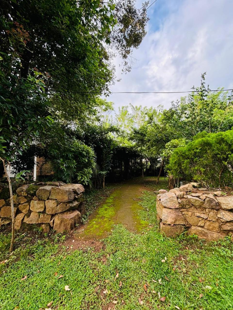Woodholic Homestay Sigiriya Luaran gambar