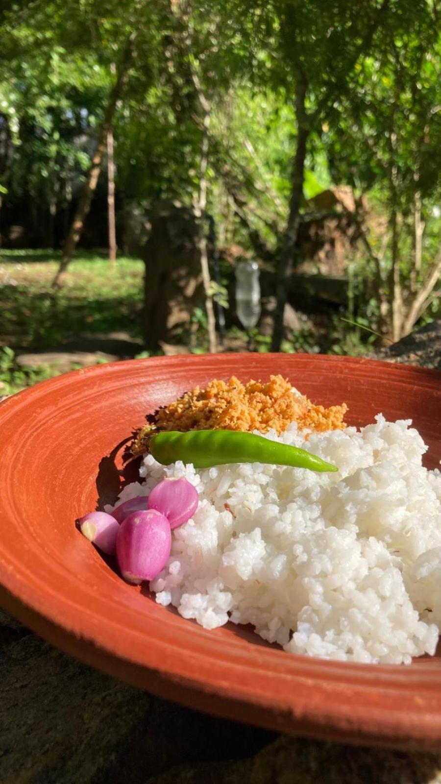 Woodholic Homestay Sigiriya Luaran gambar