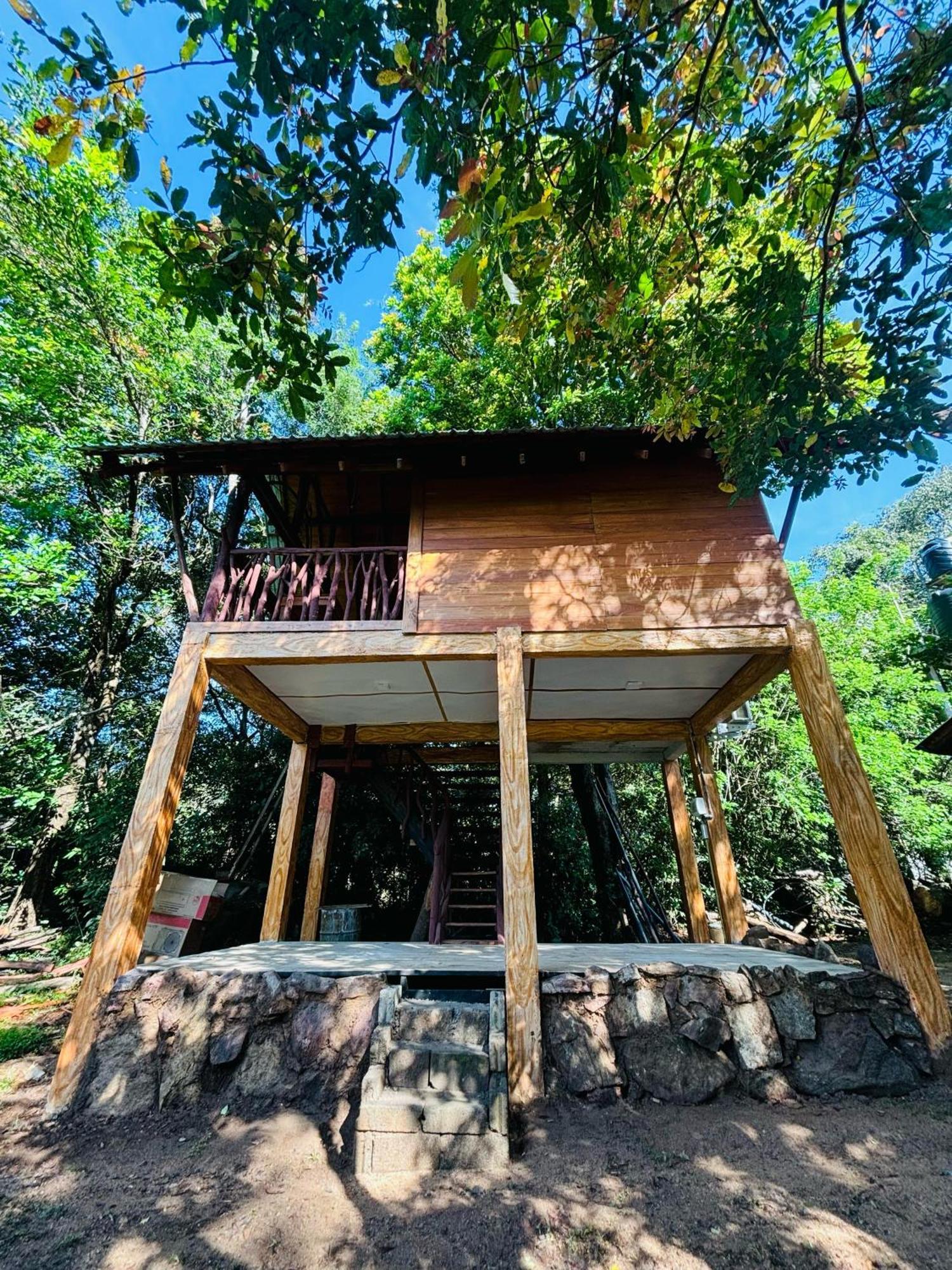 Woodholic Homestay Sigiriya Luaran gambar